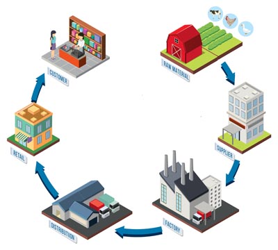 Diagram of supply chain management illustration