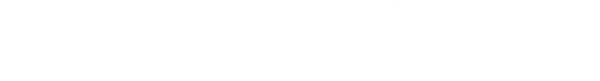 zionex logo white